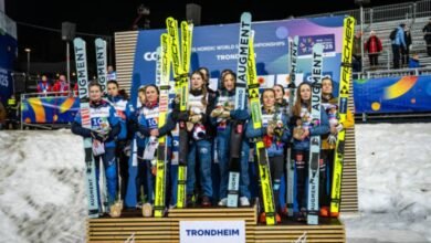 Skispringer Österreich